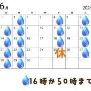 ヒメ日記 2026/05/26 11:07 投稿 クララ スイカ