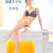 ヒメ日記 2026/06/29 15:15 投稿 クララ スイカ