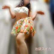 ヒメ日記 2026/07/06 12:16 投稿 クララ スイカ
