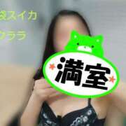 ヒメ日記 2026/07/12 19:22 投稿 クララ スイカ