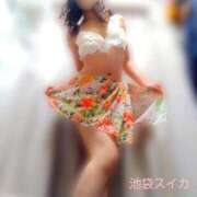 ヒメ日記 2026/07/20 14:15 投稿 クララ スイカ