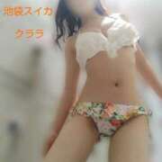 ヒメ日記 2026/07/25 13:10 投稿 クララ スイカ