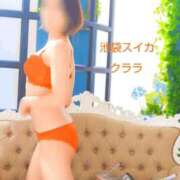 ヒメ日記 2026/07/27 09:46 投稿 クララ スイカ
