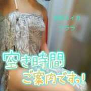 ヒメ日記 2026/08/16 16:26 投稿 クララ スイカ