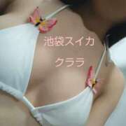 ヒメ日記 2026/08/24 22:27 投稿 クララ スイカ