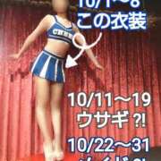 ヒメ日記 2026/10/01 14:15 投稿 クララ スイカ