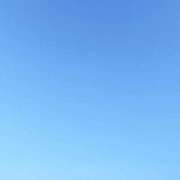 ヒメ日記 2026/10/10 16:15 投稿 クララ スイカ