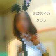 ヒメ日記 2026/10/11 13:07 投稿 クララ スイカ