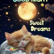 ヒメ日記 2024/12/09 21:42 投稿 久武静枝 五十路マダム 愛されたい熟女たち 高松店