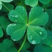 ヒメ日記 2025/01/07 13:40 投稿 久武静枝 五十路マダム 愛されたい熟女たち 高松店