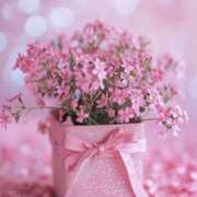 ヒメ日記 2025/02/04 12:58 投稿 久武静枝 五十路マダム 愛されたい熟女たち 高松店