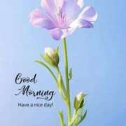 ヒメ日記 2025/02/27 07:44 投稿 久武静枝 五十路マダム 愛されたい熟女たち 高松店