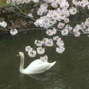 ヒメ日記 2025/03/21 14:58 投稿 久武静枝 五十路マダム 愛されたい熟女たち 高松店