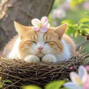 ヒメ日記 2025/04/02 14:22 投稿 久武静枝 五十路マダム 愛されたい熟女たち 高松店