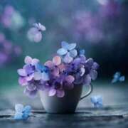 ヒメ日記 2025/06/26 20:56 投稿 久武静枝 五十路マダム 愛されたい熟女たち 高松店