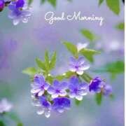 ヒメ日記 2025/06/29 08:40 投稿 久武静枝 五十路マダム 愛されたい熟女たち 高松店