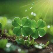 ヒメ日記 2025/06/29 18:56 投稿 久武静枝 五十路マダム 愛されたい熟女たち 高松店