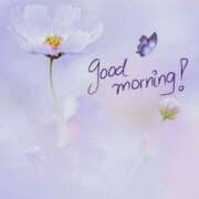 ヒメ日記 2025/07/07 07:46 投稿 久武静枝 五十路マダム 愛されたい熟女たち 高松店