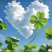 ヒメ日記 2025/07/13 10:02 投稿 久武静枝 五十路マダム 愛されたい熟女たち 高松店