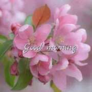 ヒメ日記 2025/07/23 08:34 投稿 久武静枝 五十路マダム 愛されたい熟女たち 高松店