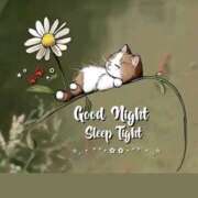 ヒメ日記 2025/08/16 22:10 投稿 久武静枝 五十路マダム 愛されたい熟女たち 高松店