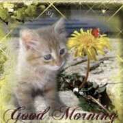 ヒメ日記 2025/11/02 11:14 投稿 久武静枝 五十路マダム 愛されたい熟女たち 高松店