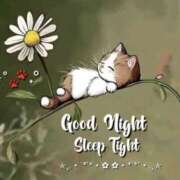 ヒメ日記 2025/12/23 23:02 投稿 久武静枝 五十路マダム 愛されたい熟女たち 高松店