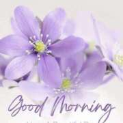 ヒメ日記 2026/03/10 07:56 投稿 久武静枝 五十路マダム 愛されたい熟女たち 高松店