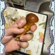 ヒメ日記 2025/04/25 22:18 投稿 黒川(くろかわ) 八王子人妻城