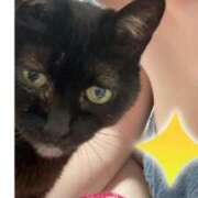 ヒメ日記 2025/08/24 18:21 投稿 黒川(くろかわ) 八王子人妻城