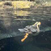 ヒメ日記 2025/10/04 12:49 投稿 この【FG系列】 フィーリングin厚木【FG系列】