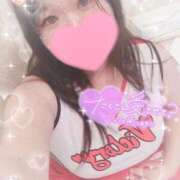 ヒメ日記 2025/02/08 15:11 投稿 ちあき サンキュー沼津店（サンキューグループ）