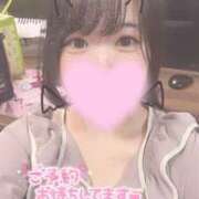 ヒメ日記 2025/02/12 15:29 投稿 ちあき サンキュー沼津店（サンキューグループ）