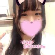 ヒメ日記 2025/04/25 19:33 投稿 ちあき サンキュー沼津店（サンキューグループ）