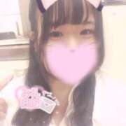 ヒメ日記 2025/11/15 04:01 投稿 ちあき サンキュー沼津店（サンキューグループ）