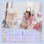 あんり 🐰 ハピネス東京