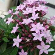 ヒメ日記 2025/09/30 21:46 投稿 清水美紀 五十路マダム　広島店