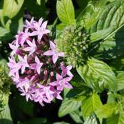 ヒメ日記 2025/10/18 22:20 投稿 清水美紀 五十路マダム　広島店