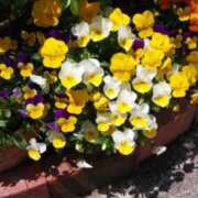 ヒメ日記 2025/10/20 00:36 投稿 清水美紀 五十路マダム　広島店