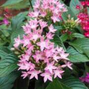 ヒメ日記 2025/10/21 22:30 投稿 清水美紀 五十路マダム　広島店