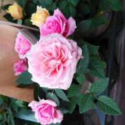 ヒメ日記 2025/10/31 19:06 投稿 清水美紀 五十路マダム　広島店