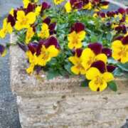 ヒメ日記 2025/11/01 22:18 投稿 清水美紀 五十路マダム　広島店