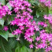 ヒメ日記 2025/11/03 23:32 投稿 清水美紀 五十路マダム　広島店