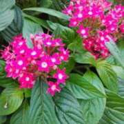 ヒメ日記 2025/11/04 00:36 投稿 清水美紀 五十路マダム　広島店