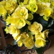 清水美紀 2025年ラストのありがとう 五十路マダム　広島店