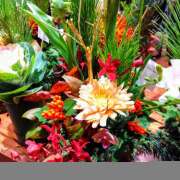 清水美紀 謹賀新年 五十路マダム　広島店