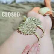 ヒメ日記 2026/02/12 23:04 投稿 れいか なでしこ(十三)