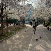 ヒメ日記 2025/04/05 22:25 投稿 みなみ スイカ