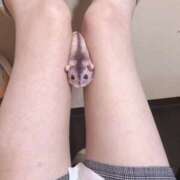 ヒメ日記 2025/06/04 03:26 投稿 ちくわ ギャルズネットワーク神戸