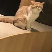 ヒメ日記 2025/09/22 22:09 投稿 ちくわ ギャルズネットワーク神戸